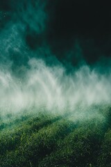 Wall Mural - water irrigation system spraying a green crop field, symbolizing efficient water usage