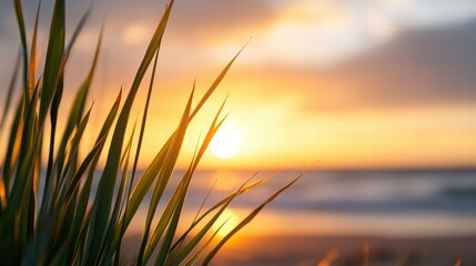 Wall Mural - Serene sunset over ocean with grass in foreground