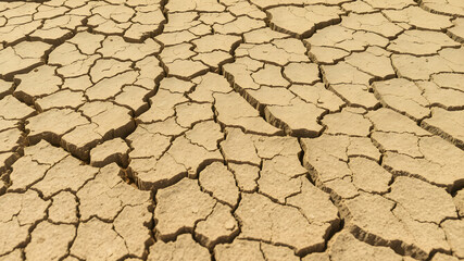 A dry, cracked earth texture with deep fissures, resembling a drought-stricken landscape, ultra-detailed 8K