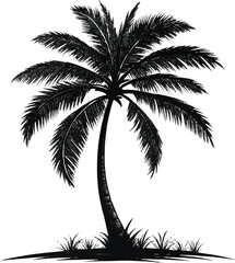 Wall Mural - silhouette of coconut tree