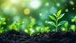 © Din Nasahrudin - Seedlings, growth, green, nature, digital, technology, soil, connection, innovation A close up image of young plants sprouting from dark soil with a futuristic digital network overlay, illustrating