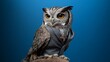 © Photo - Animals in the suite shows modernity