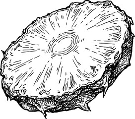Canvas Print - pineapple cross-section ink sketch.