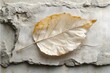 © Isuru - A dried, pale leaf rests on a textured, cracked concrete surface.