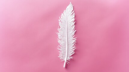 Poster - White feather on pink background with soft texture, minimalistic aesthetic design for creative or artistic concepts.