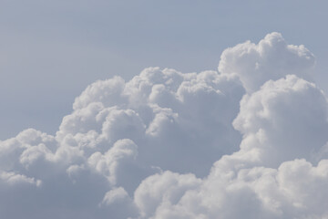 Wall Mural - The sky is filled with fluffy white clouds, creating a serene. white cloud background and texture.