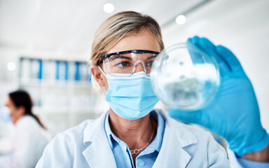 Wall Mural - Mature woman, scientist and face mask with petri dish in lab for experiment, test or exam. Female person, micro biologist or chemical compound with sample or new discovery for scientific results