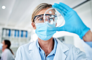 Poster - Mature woman, scientist and petri dish for analysis in science lab in medical research or innovation. Female person, sample and vaccine in pharmaceutical, chemistry or biology as study, career or phd