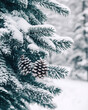 © Pink Rose - Spruce Branches with Pine Cones Covered in Snow – Crisp Air Palette: Snowy White, Sky Blue, and Pine Green