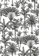 Wall Mural - Tropical Hawaiian seamless pattern with palm trees. Botanical foliage monochrome background. Linear style. Vector illustration. Black and white hand drawn sketch.