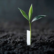 © dylan - Ultrarealistic closeup of an oat plant sprouting from soil with a white indicator strip inserted into the soil next to it Extreme detail sharp focus natural textures