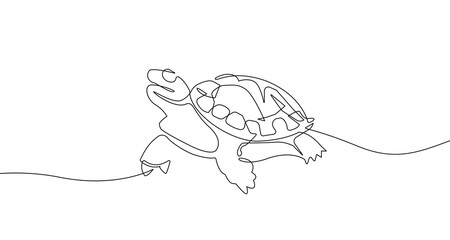 Wall Mural - Turtle Continuous One Line Drawing. Simple Turtle One Line Drawing. Minimalist Contour Illustration. Vector EPS 10.