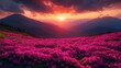 © tengah - A vibrant sunset over a field of blooming flowers in a mountainous landscape.
