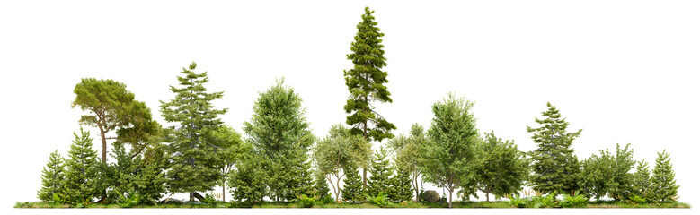 Aufkleber - PNG small forest and grass field, 3d illustration rendering 