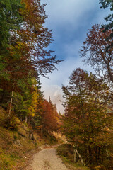 Wall Mural - Trekking day in a snowy autumn in the Dolomiti Friulane, Friuli-Venezia Giulia