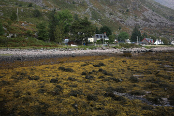 Wall Mural - Shore of Loch Torridon at sunset viewed from Torridon village - Highlands - Scotland - UK