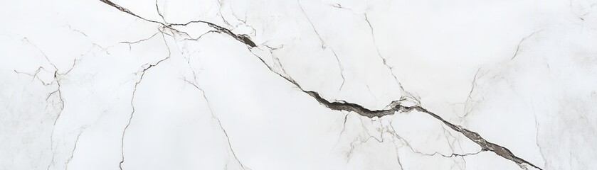 Poster - White Marble Slab With Prominent Cracks And Veins