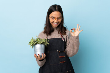 Young brunette mixed race woman holding a plant over isolated blue background showing ok sign with fingers.