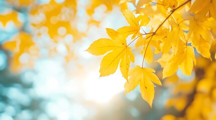 Aufkleber - Golden Autumn Leaves Brightly Lit by the Sun Creating a Warm Seasonal Scene : Generative AI