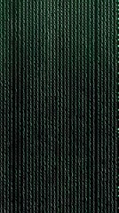 Wall Mural - green binary code on a black background. the concept of the future.