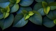 © DARIKA - Futuristic background featuring green and blue neon lights highlighting tropical leaves arranged in layered compositions on a deep black background