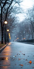 Wall Mural - A street scene with snow on the ground and trees in the background. The street is wet and there are leaves on the ground