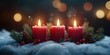 © YauheniB - Festive red candles with pine decor on snow