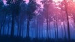 © Jirakit - forest mist trees nature serenity and ethereal beauty with mysterious tranquility and magical atmosphere.