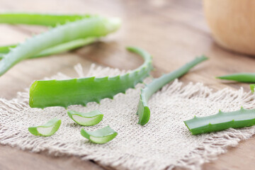 Wall Mural - Aloe vera cactus green leves  on rustic wooden background, natural skincare and green medicine concept