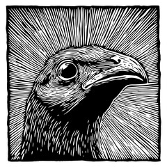 Canvas Print - detailed woodcut-style illustration of a raptor head with intense gaze