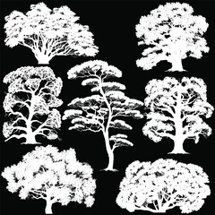 Wall Mural - isolated on black lush seven trees