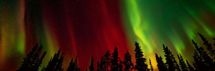 Wall Mural - generated image panorama of christmas colored aurora and stars above a forest silhouettes. meteor