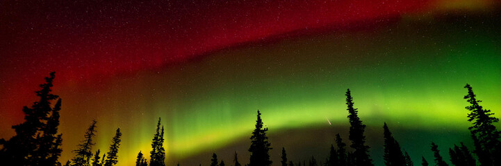 Wall Mural - generated image panorama of red and green northern lights above pine and spruce tree silhouettes.