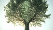 © Pumapala - A digitally enhanced tree with glowing elements symbolizing nature and technology.