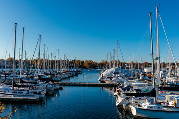 Wall Mural - A large number of boats are docked in a marina