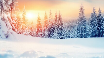 Wall Mural - Morning light breaks through the snowy forest, illuminating the landscape while fresh snow blankets the ground and trees glisten