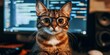 © Masque - This funny cat in glasses showcases its coding skills on a computer.