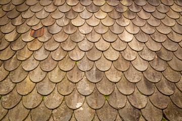 Wall Mural - slate patterns on a roof