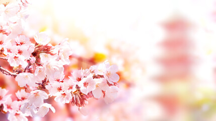 Aufkleber - Horizontal banner with sakura flowers of white color and ancient pagoda on sunny misty backdrop. Beautiful nature spring background with a branch of blooming sakura. Sakura blossoming season in Japan