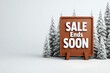 © Pixelbiz - Christmas sale limited-time concept. A wooden sign with bold text reading 'SALE Ends SOON' stands amidst snowy trees, promoting urgency for a seasonal sale.