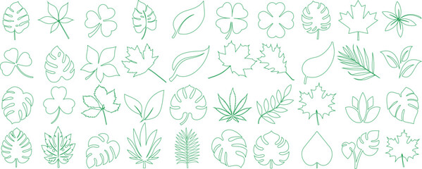 Wall Mural - Green leaf vector outlines, minimalist leaves line art design featuring maple, palm, monstera, clover, oak, and cannabis shapes, ideal for nature themes, eco friendly branding, or botanical background
