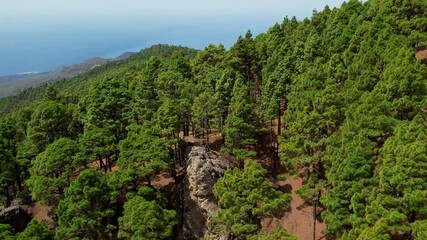 Wall Mural - Aerial drone view of the landscape of La Palma, Canary Islands, Spain