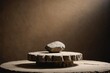 © ThomasLENNE - Empty stone podium with lights and shadows on brown background. Minimal backdrop. Round natural rock and piece of driftwood. Abstract pedestal or showcase for presentation. Minimal wabi sabi concept.