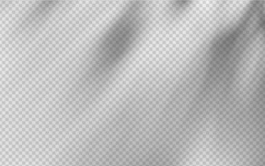 Wall Mural - abstract shadow overlay from foliage on a transparent background.