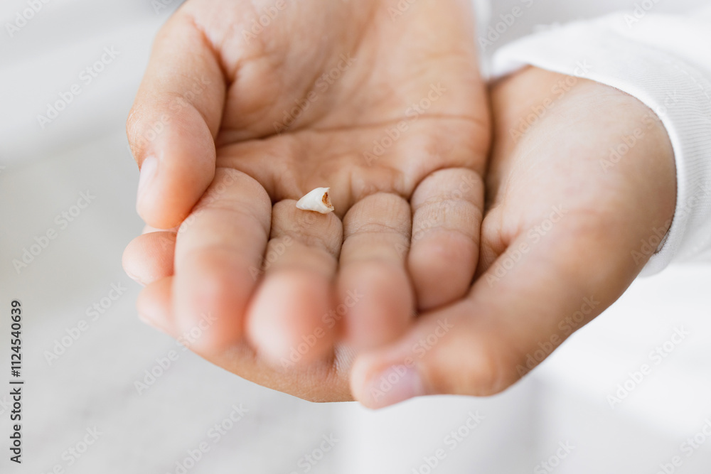 Young child holding baby tooth in small hands. Caucasian male child displaying tooth in palms during milestone of growing up. Symbolizes childhood, growth, innocence.