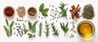 © desgin - olive oil- herbs and spices- top view on white background