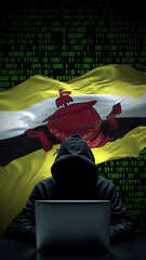 brunei flag - 3d realistic waving flag on matrix digital background with binary code
