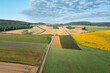 © Westend61 - Aerial view of rural landscape with dirt road through agricultural fields with crop, summer.
