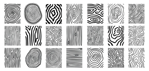 Wood lines texture material doodle hand drawn line set. Rings and circles tree trunk geometric curve, wave contour. 