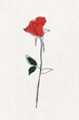 © Westend61 - Minimalist line art drawing of a single red rose with a stem and two leaves, isolated on a white background.